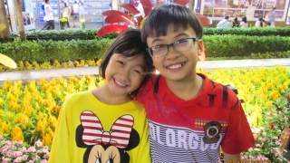 Đường Hoa 2013